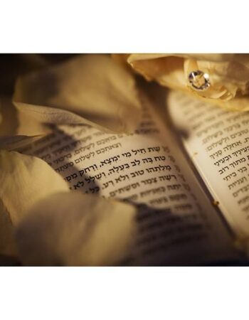 Benjamin Kohen Photography