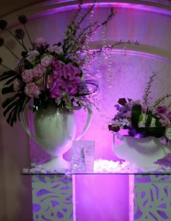 Hostess International