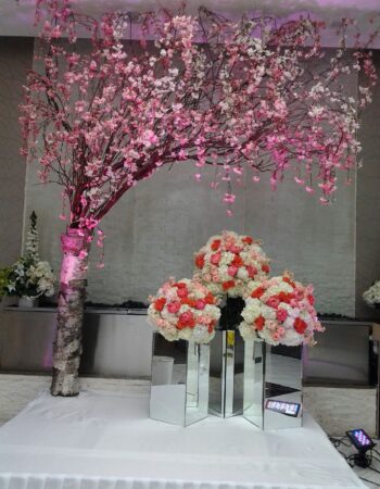 Hostess International