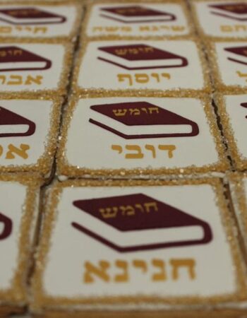 One Smart Cookie (Brocha Rapaport)