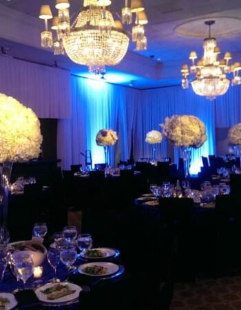 Hostess International