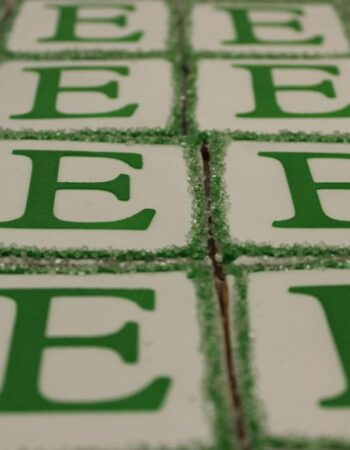 One Smart Cookie (Brocha Rapaport)