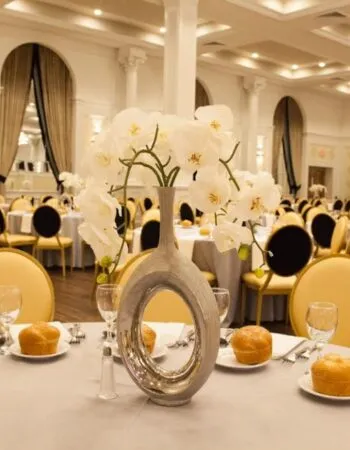 Fountain Ballroom / Ateres Genendel