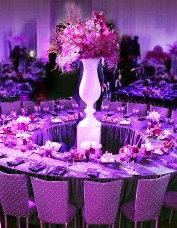 Hostess International