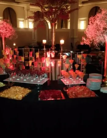 Fountain Ballroom / Ateres Genendel